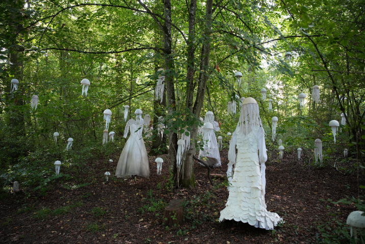 Nuit de la Culture